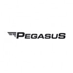 Pegasus