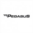 Tigari de foi Pegasus