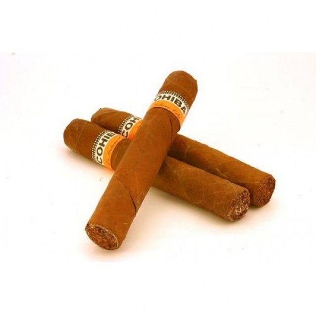 Cutie trabucuri Cohiba Robustos, set 3 bucati