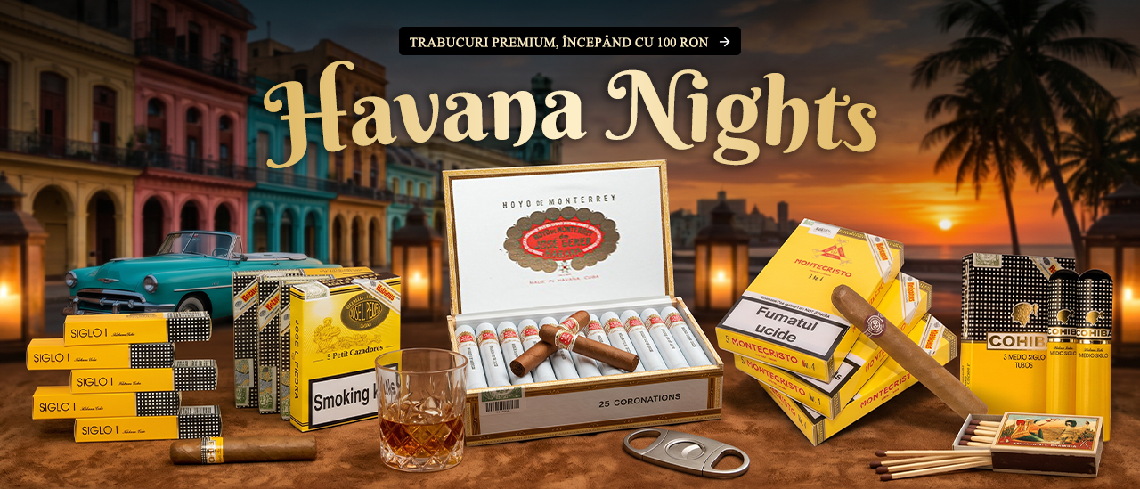 Havana Summer Nights