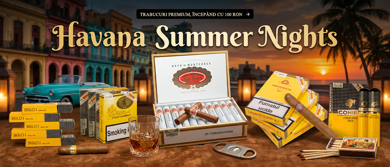 Havana Summer Nights