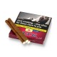 Tigari de foi Neos Filter Ruby, Cirese, 20g, 10 buc.