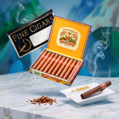 Set Trabuc Partagas Mille Fleurs (10) + Scrumiera Habanos pentru 2 trabucuri din ceramica + Punga Umidificatoare pentru trabucuri