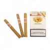 Trabuc Romeo Y Julieta Petit Julietas - 5 Buc