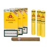 Cutie Trabucuri Montecristo Petit Tubos - 3 bucati in tub